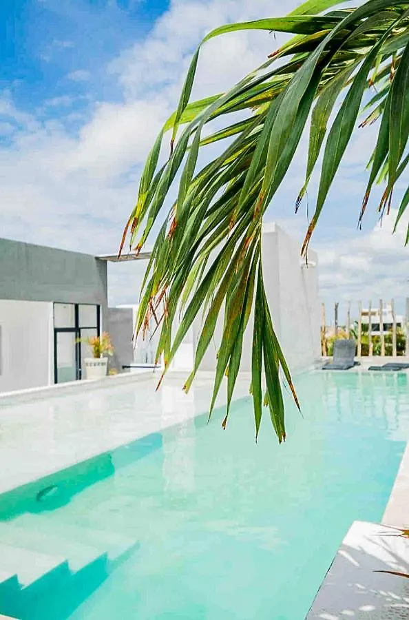 Aparthotel Dewl Residences: Zazil 20 Playa del Carmen Mexico