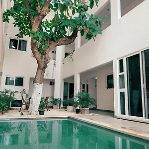 Cozy Zazil-ha Playa del Carmen